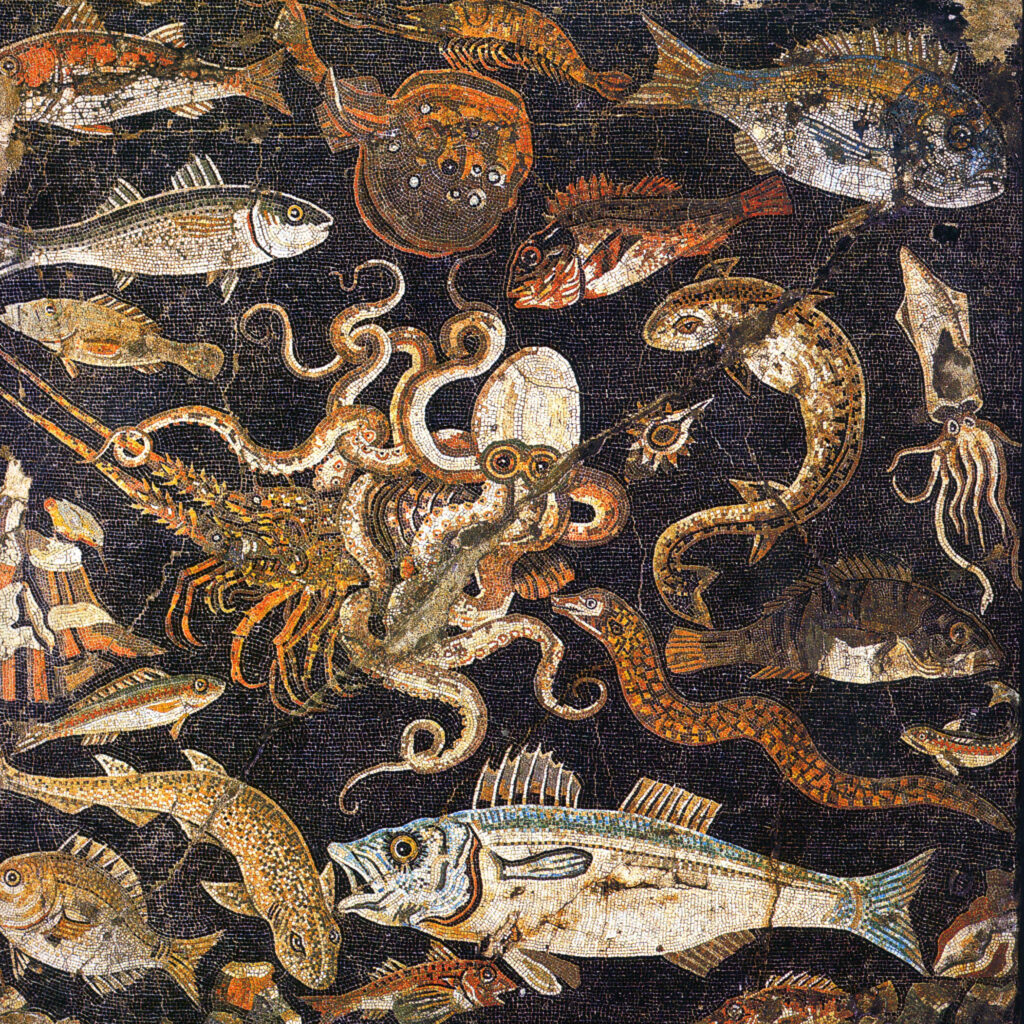 A Man and the Sea – Fishing in Ancient Times Through the Holdings of the Archaeological Museum in Zadar